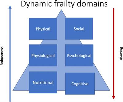 The role of frailty in advanced HF and cardiac transplantation